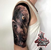 adler eagle falke falcon tattoo